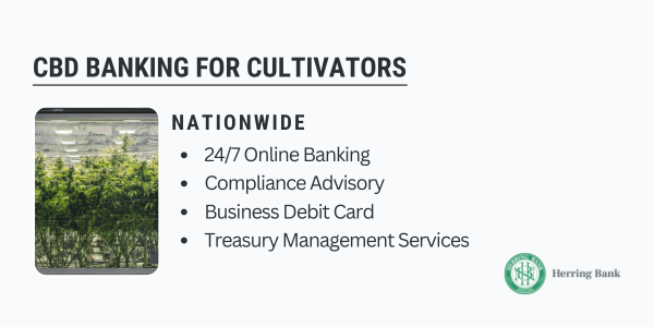 CBD Banking CBD-Banking-Solutions