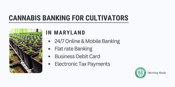 Maryland Cannabis Banking Maryland-Marijuana-Banking-Services